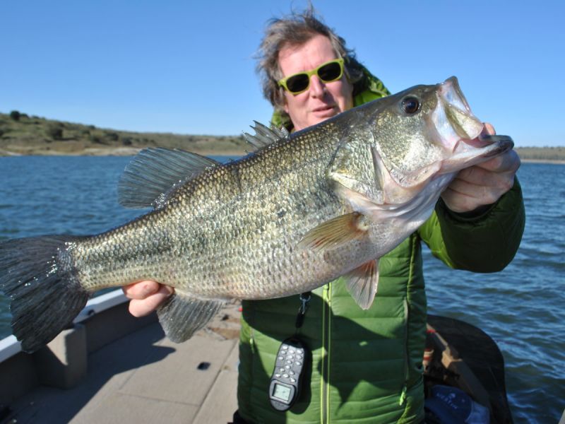 Bass Peche En Bateau Espagne