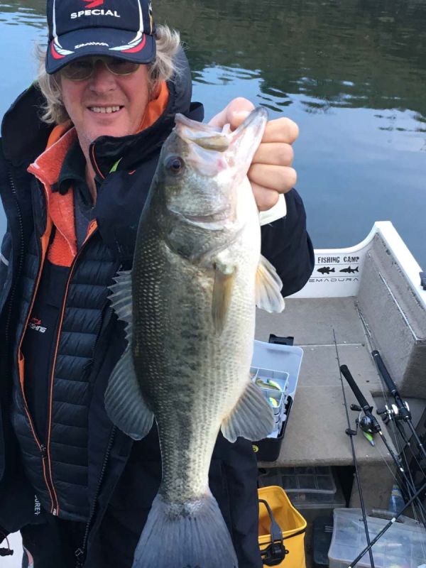 Sam The King Off The Bass