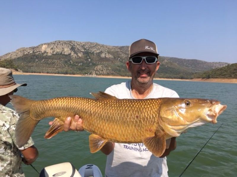 Barbeaux Peche En Extremadura 20