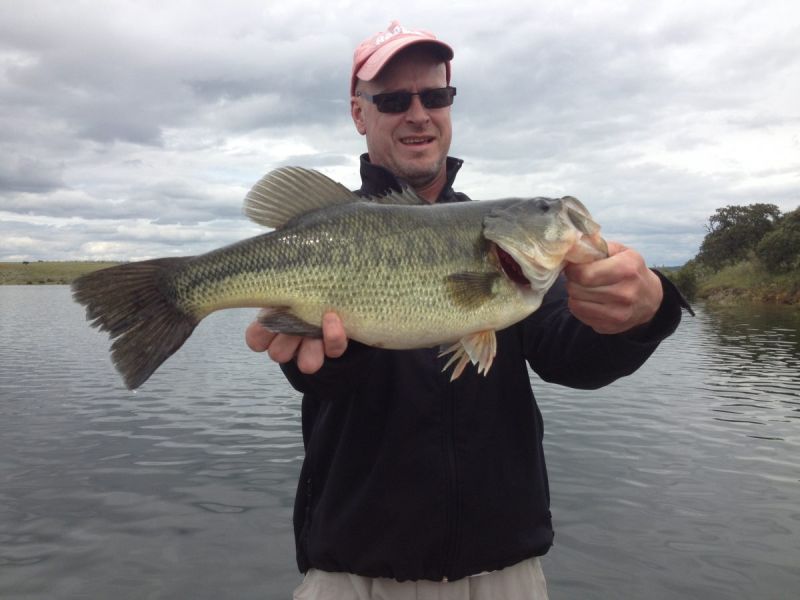 Bass Peche En Bateau Espagne