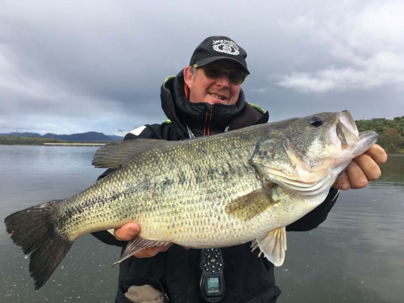 Sam Avec Un Bass